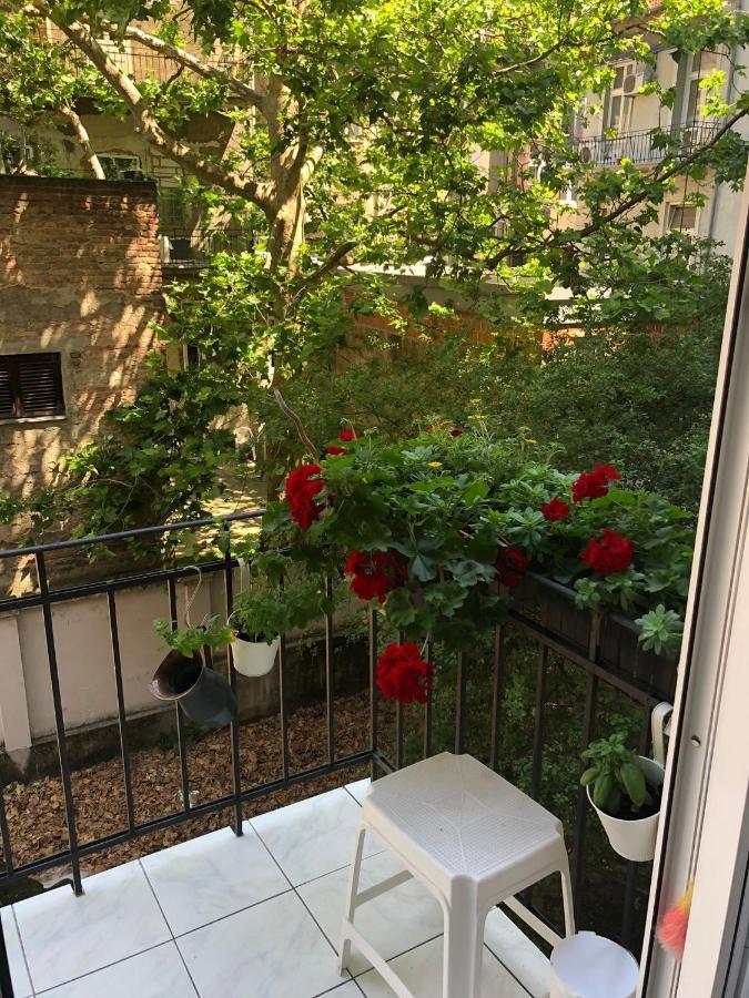 זאגרב Apartman Manja מראה חיצוני תמונה